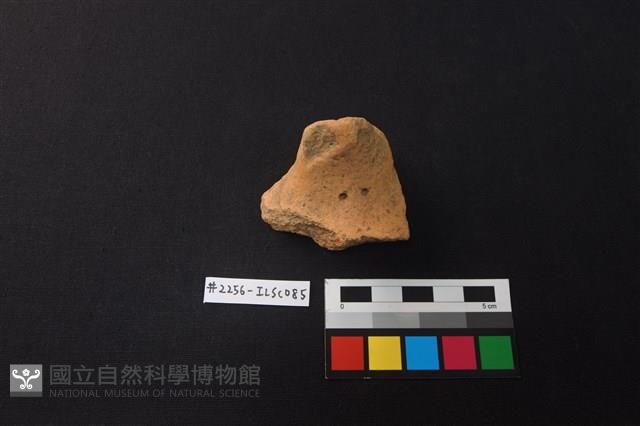 陶片藏品圖，第1張