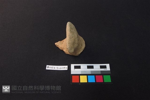 陶片藏品圖，第1張