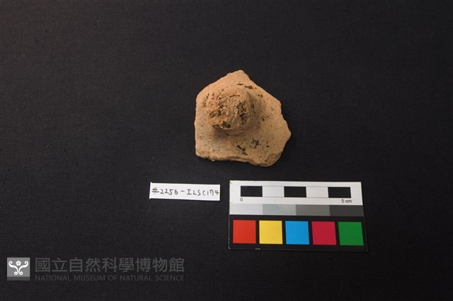 陶片藏品圖，第1張
