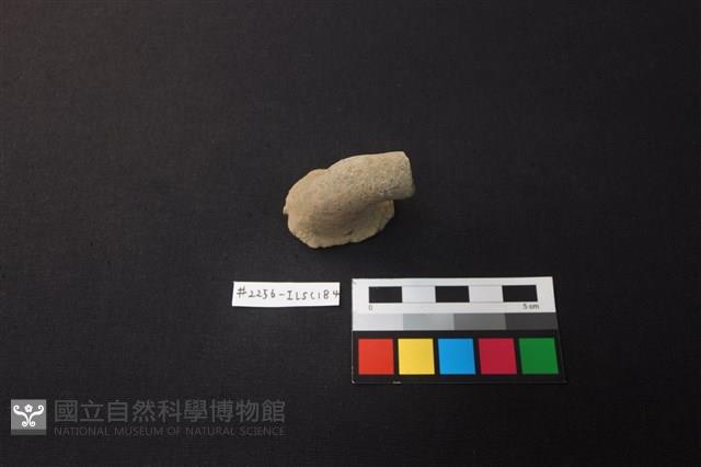 陶片藏品圖，第1張