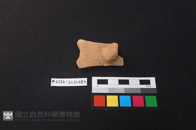 陶片藏品圖，第1張