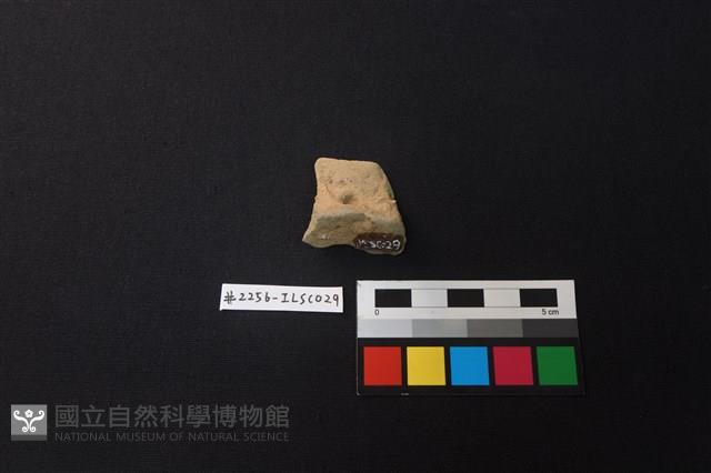 陶片藏品圖，第1張