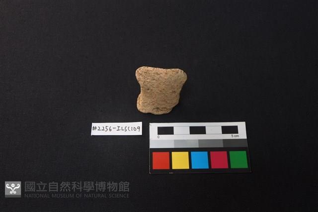 陶片藏品圖，第1張