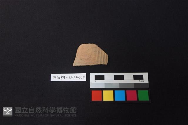 陶片藏品圖，第1張