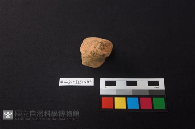 陶片藏品圖，第1張