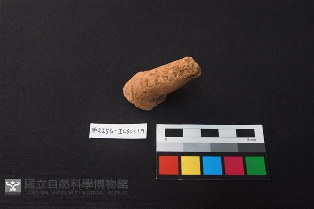 陶片藏品圖，第1張