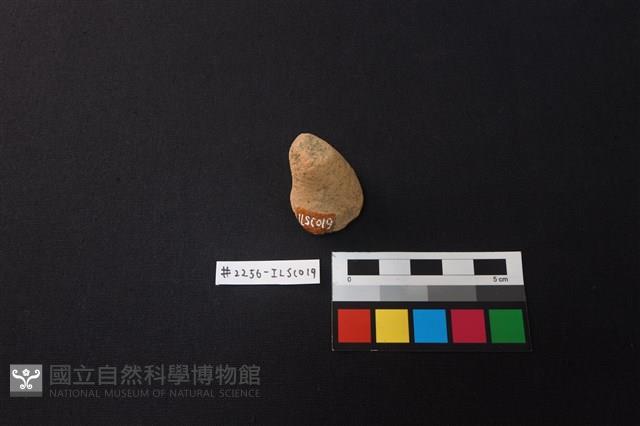 Accession Number:ILSC019 Collection Image, Figure 1, Total 2 Figures