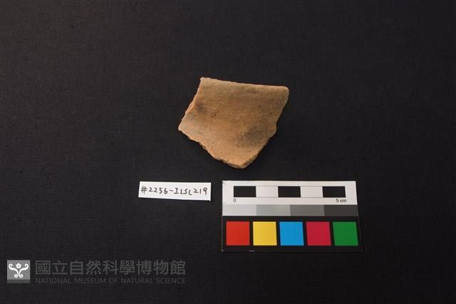 陶片藏品圖，第1張