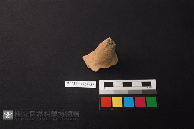 陶片藏品圖，第1張