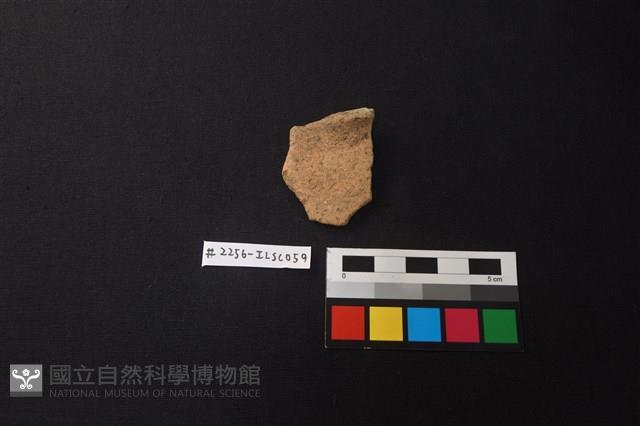 陶片藏品圖，第1張