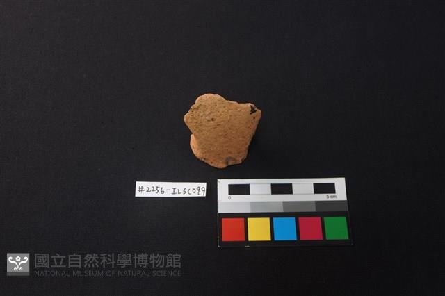 陶片藏品圖，第1張