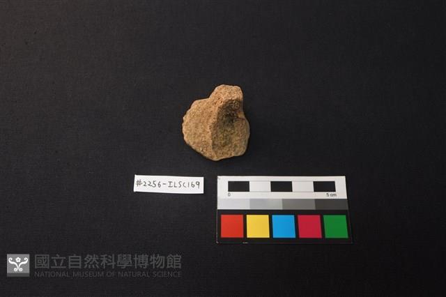 陶片藏品圖，第1張