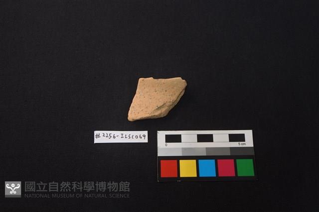 陶片藏品圖，第1張