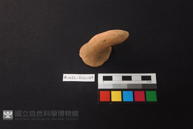 陶片藏品圖，第1張