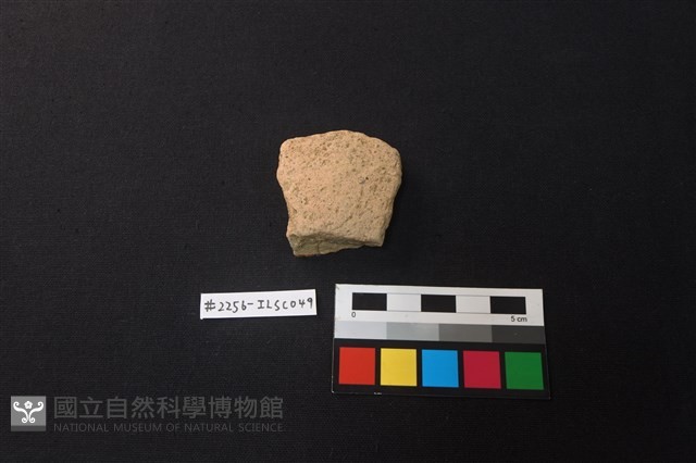 陶片藏品圖，第1張