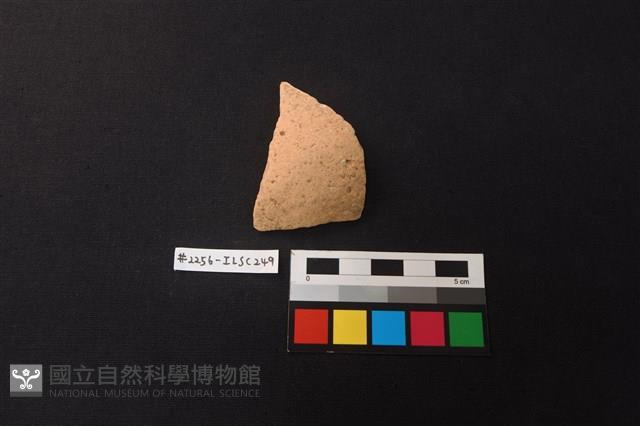 陶片藏品圖，第1張