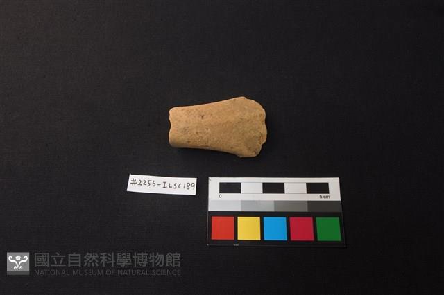 陶片藏品圖，第1張