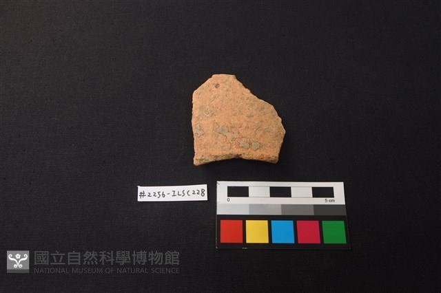 陶片藏品圖，第1張