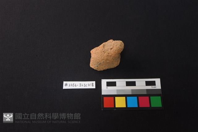 陶片藏品圖，第1張