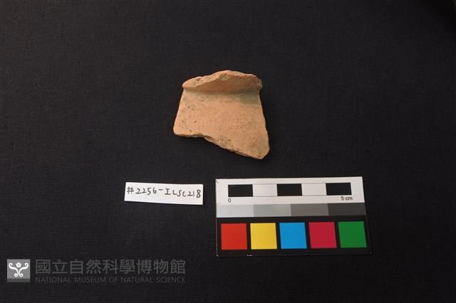 陶片藏品圖，第1張