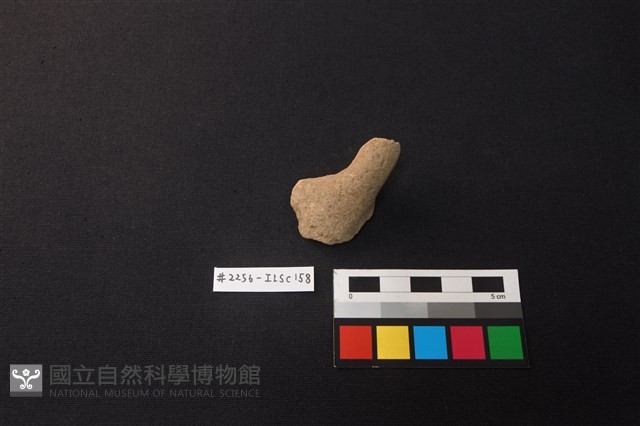 陶片藏品圖，第1張