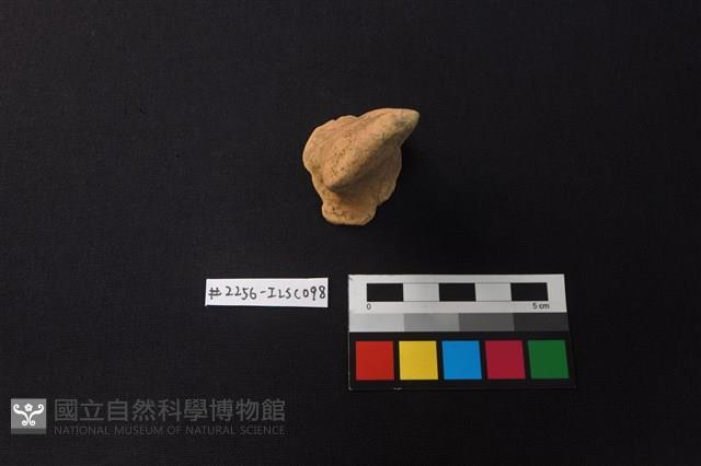 陶片藏品圖，第1張