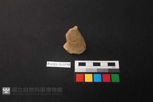 Accession Number:ILSC168 Collection Image, Figure 1, Total 2 Figures