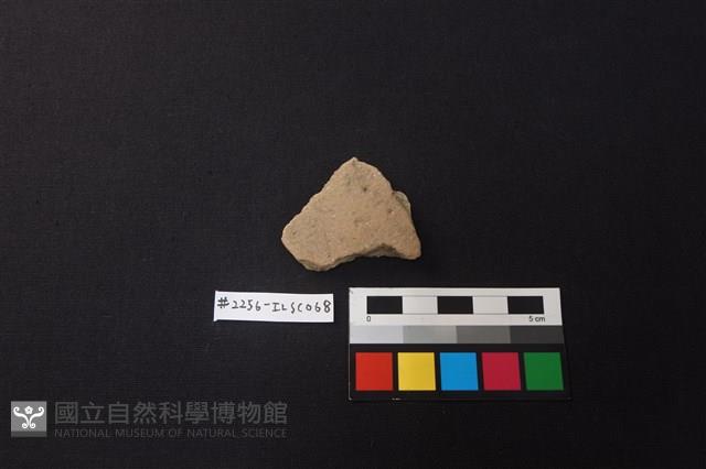 陶片藏品圖，第1張