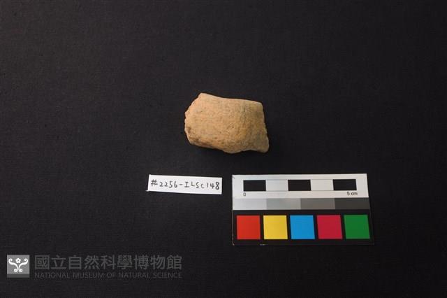 陶片藏品圖，第1張