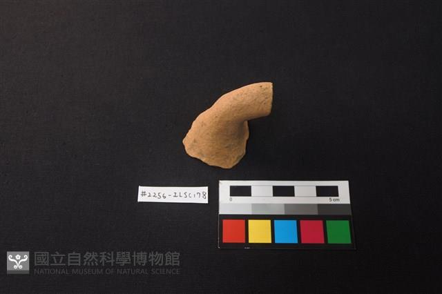 陶片藏品圖，第1張