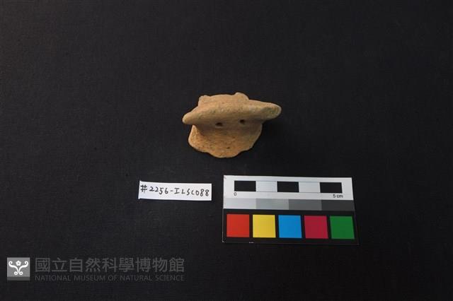 陶片藏品圖，第1張