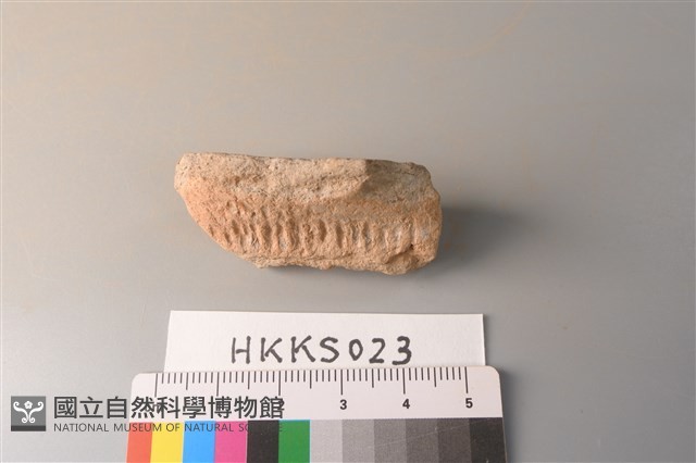 陶片藏品圖，第1張