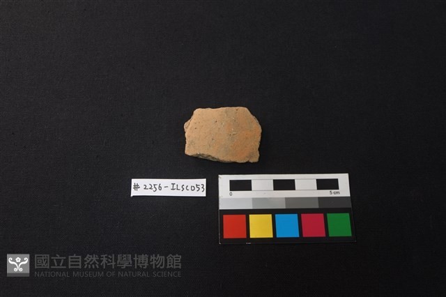 陶片藏品圖，第1張
