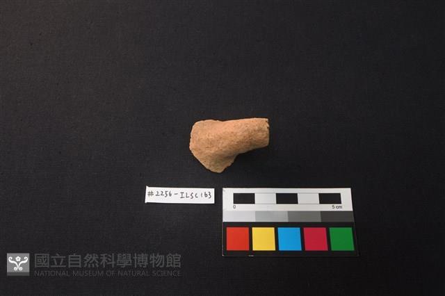 陶片藏品圖，第1張