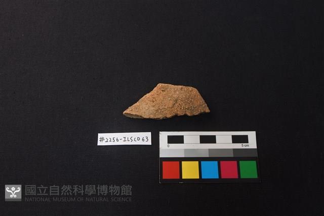 陶片藏品圖，第1張