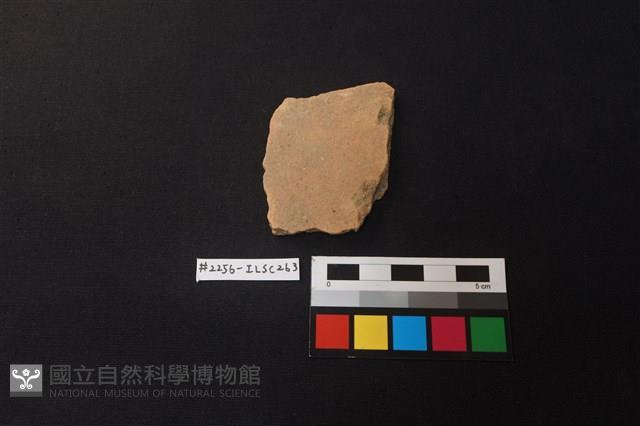 陶片藏品圖，第1張