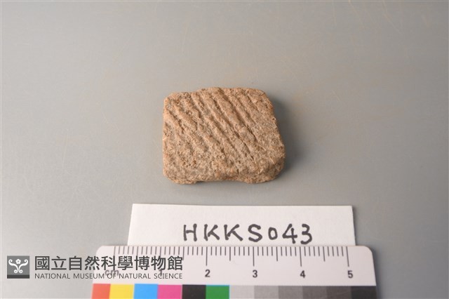 陶片藏品圖，第1張
