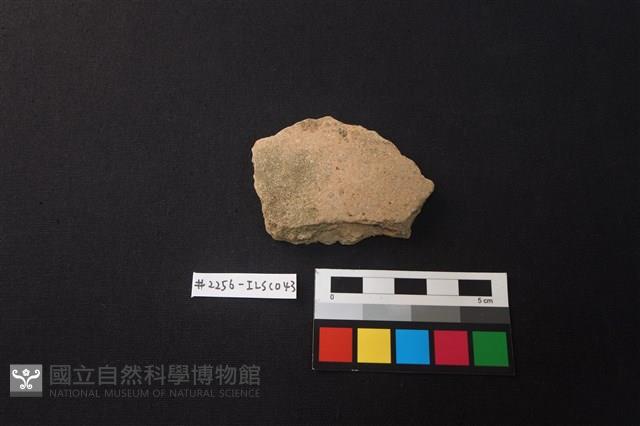 陶片藏品圖，第1張