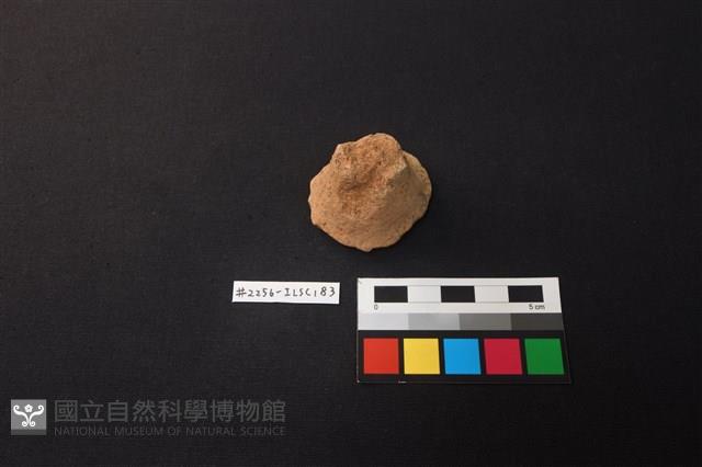 Accession Number:ILSC183 Collection Image, Figure 1, Total 3 Figures