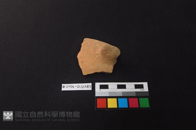 陶片藏品圖，第1張