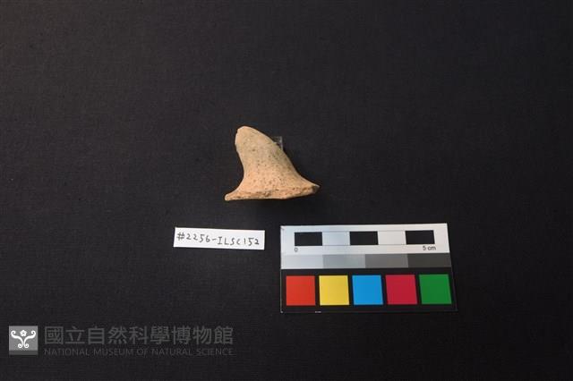 陶片藏品圖，第3張