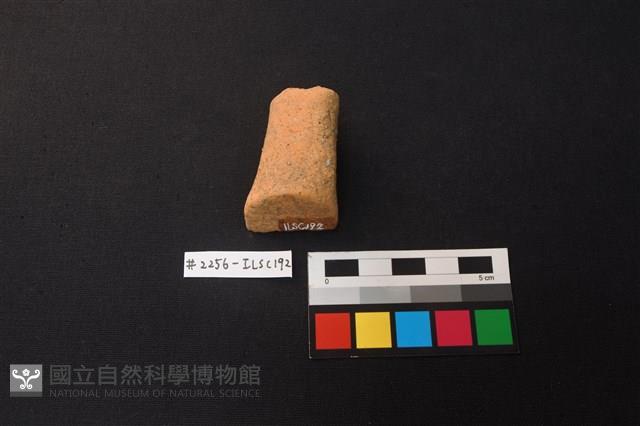 陶片藏品圖，第3張