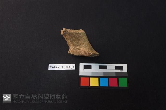 陶片藏品圖，第3張