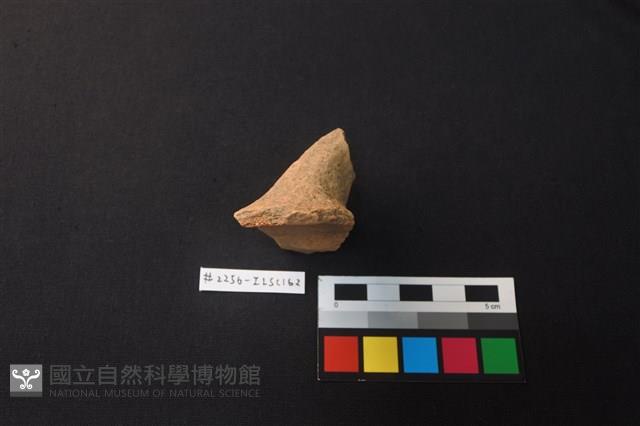 陶片藏品圖，第3張