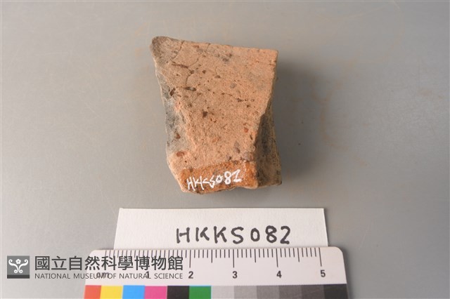 陶片藏品圖，第3張