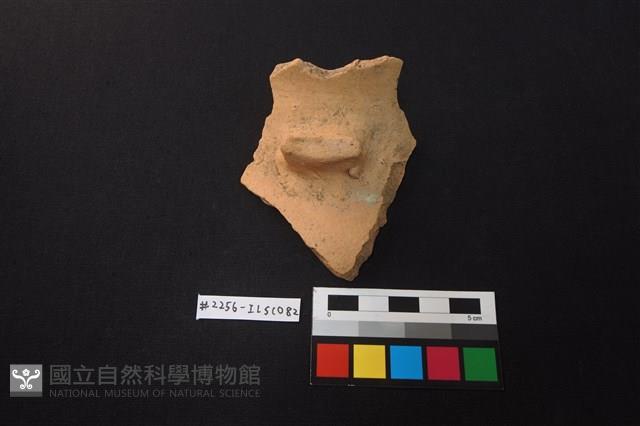 陶片藏品圖，第3張