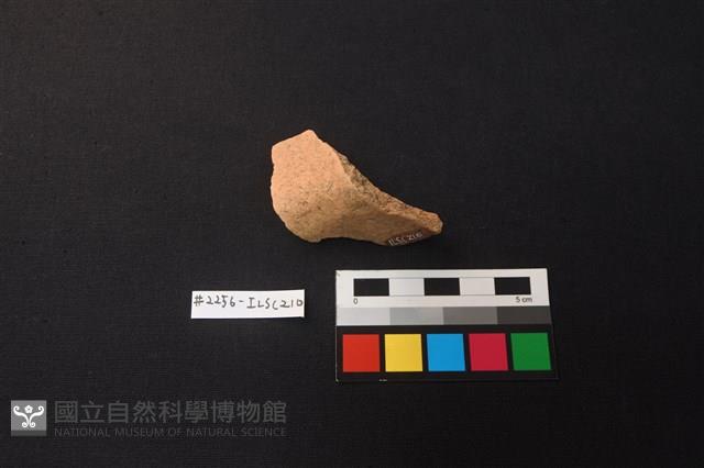 陶片藏品圖，第3張