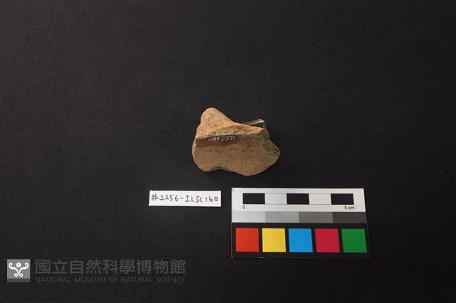 Accession Number:ILSC160 Collection Image, Figure 3, Total 3 Figures