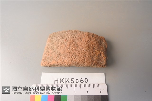陶片藏品圖，第3張