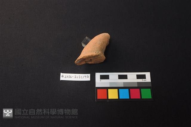 陶片藏品圖，第3張